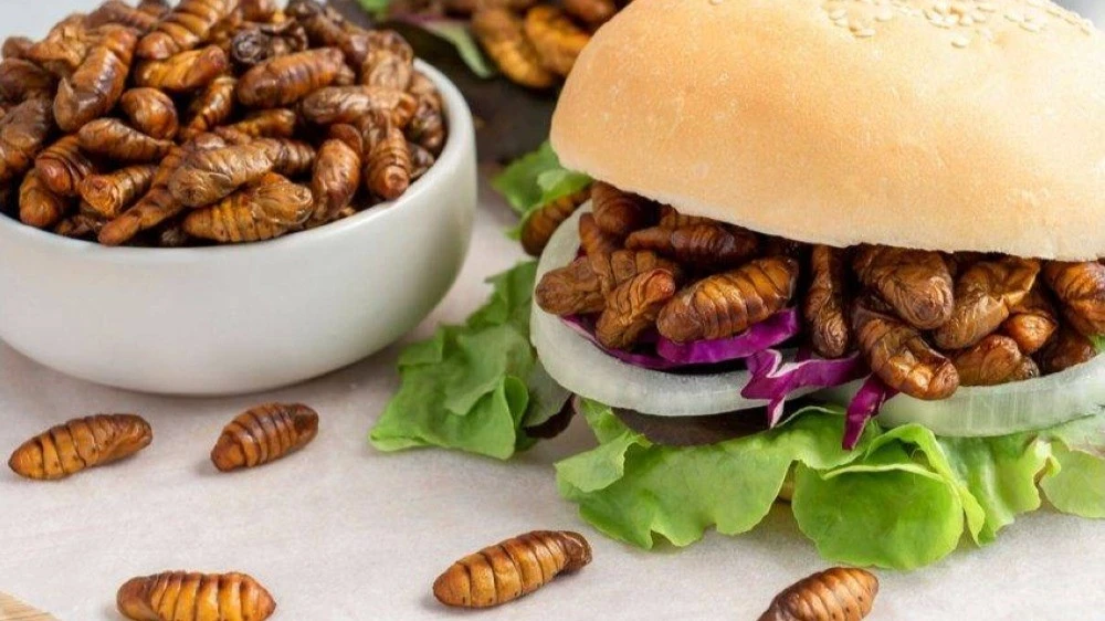 Which Insects are Considered Halal According to Islamic Jurisprudence and Why?